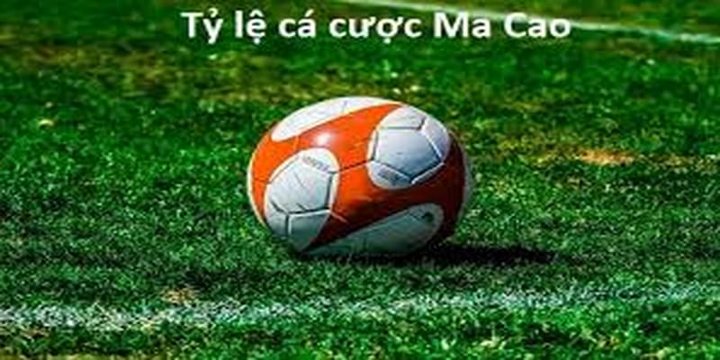 Tỷ lệ kèo ma cao cách đọc chuẩn